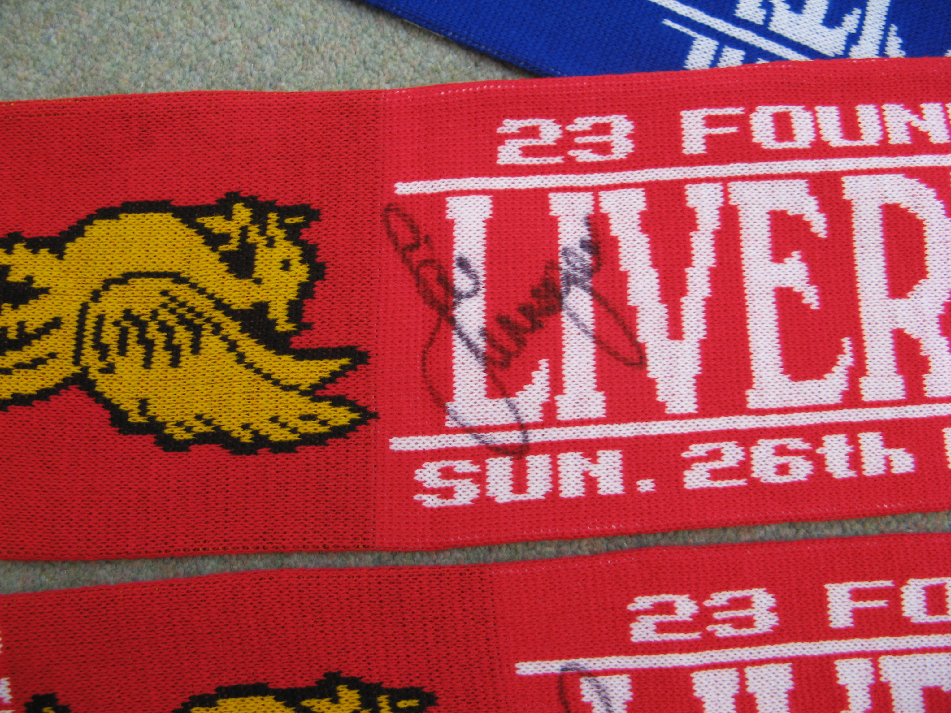 Scarf3