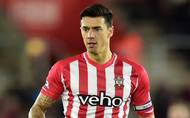 Lovren hints that Jose Fonte is signing for Liverpool
