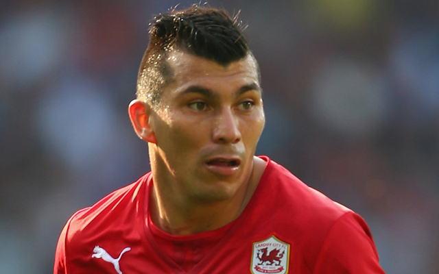 gary medel