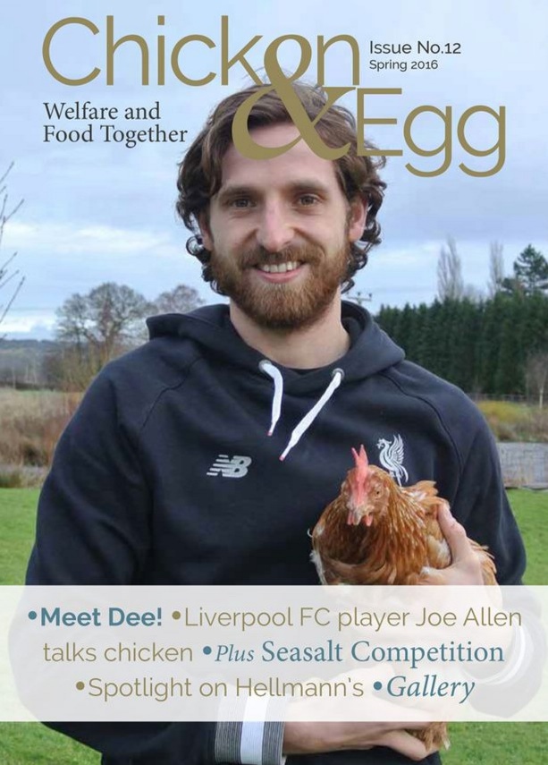 Joe Allen’s full interview for ‘Chicken & Egg’ magazine is incredible – names his 14 hens, including ‘Silkie Steve’