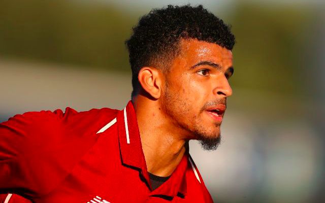 What Klopp really thought of Dom Solanke’s £19m move to Bournemouth…