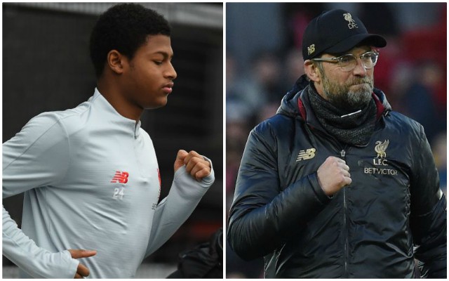 Rhian Brewster, Jurgen Klopp