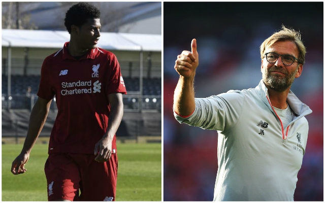 Klopp tells reporters “the door is wide open” for Brewster in Reds’ first-team
