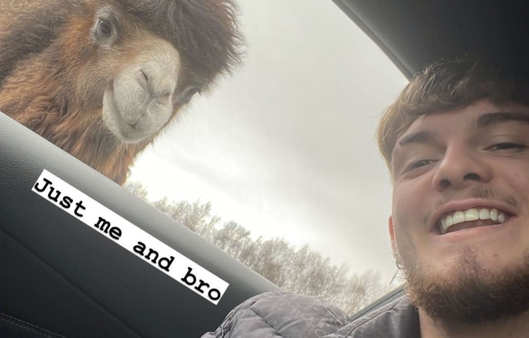 (Photo) Harvey Elliott’s selfie snap of alpaca with similar haircut will have Liverpool fans chuckling