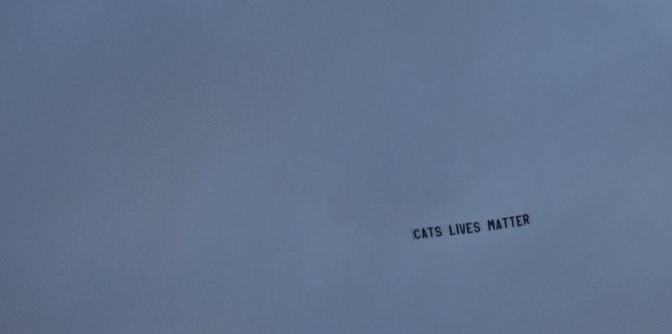(Photos) ‘Cats Lives Matter’ banner flown above Anfield in response to Zouma abuse video