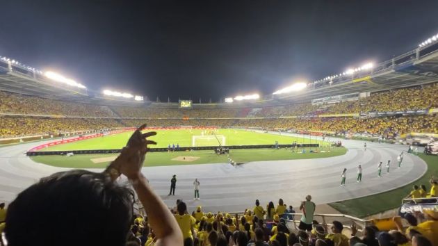 colombia-fans-diaz