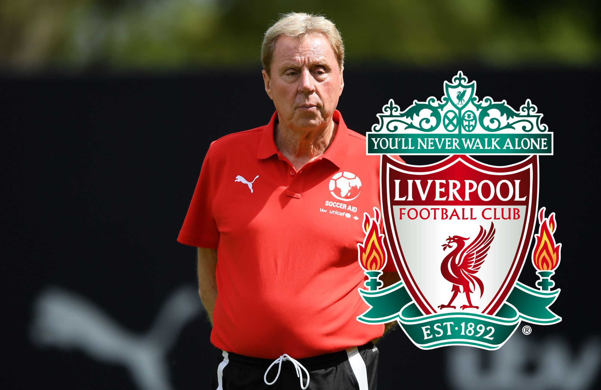 Harry Redknapp tips Premier League ‘failure’ for the Liverpool job after Klopp