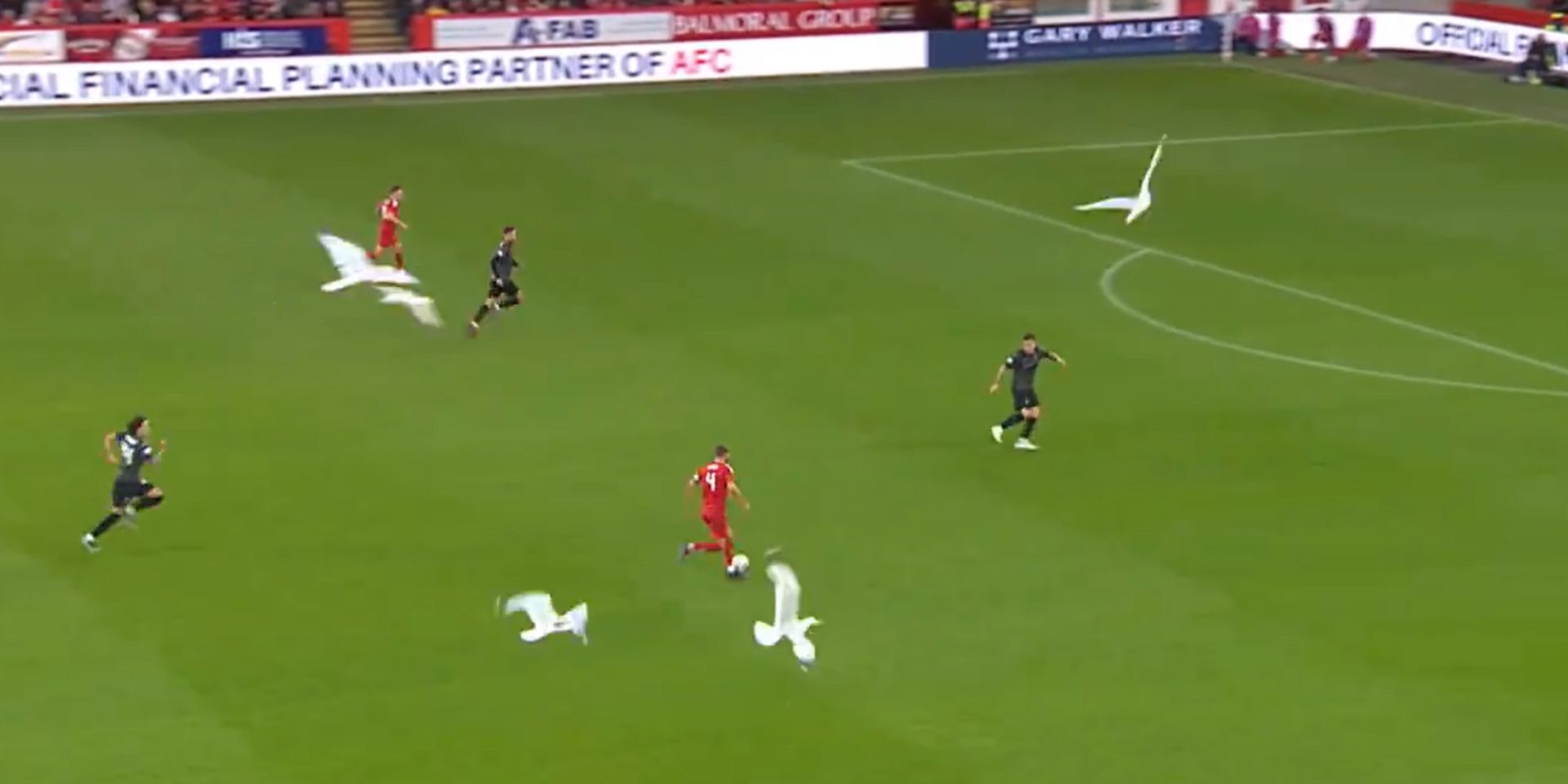 (Video) Ex-Liverpool midfielder scores bizzare seagull infested goal during cup clash