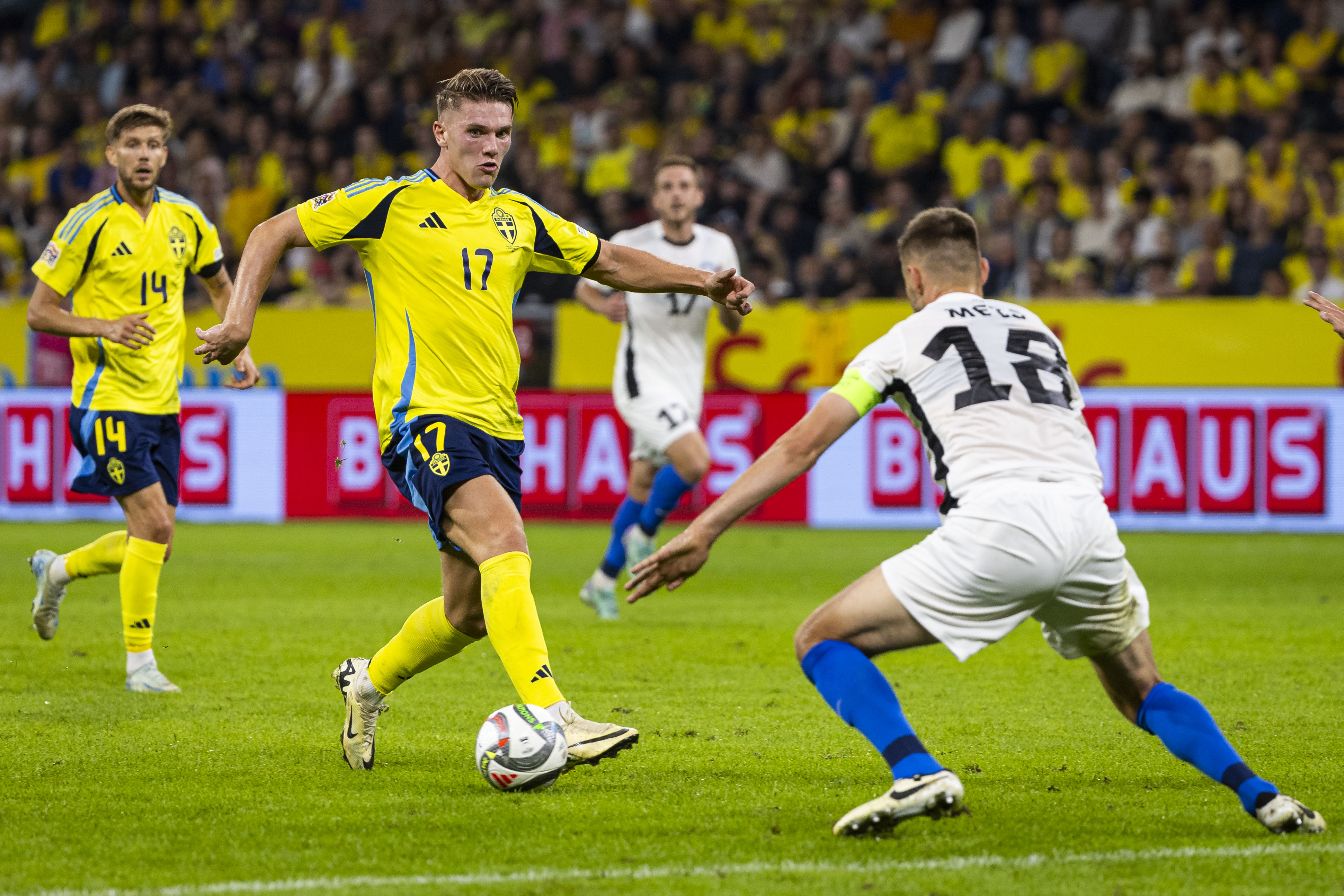 Viktor Gyokeres has been in blistering form for Sporting Lisbon and Sweden