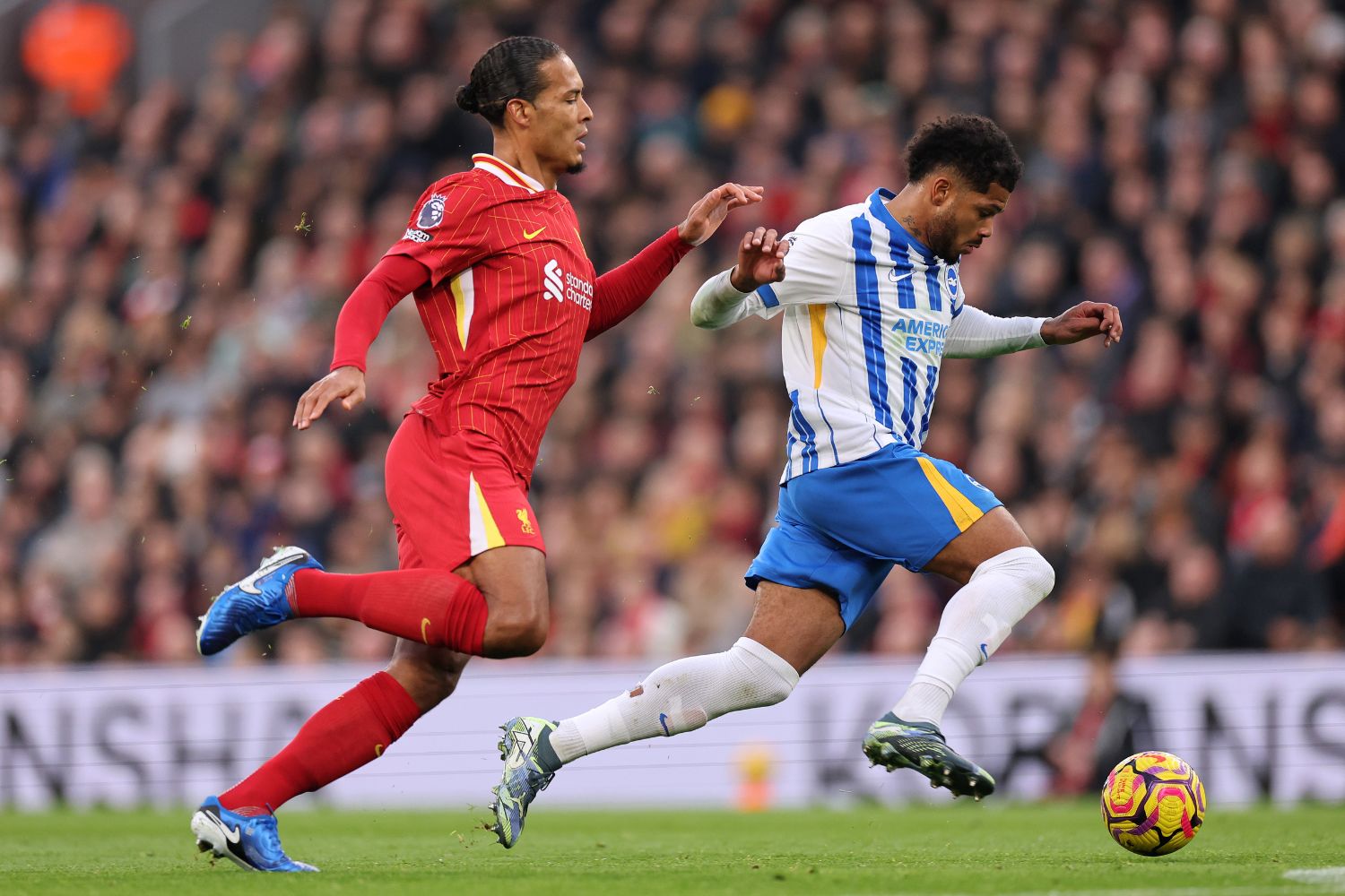 Virgil van Dijk in action against Brighton