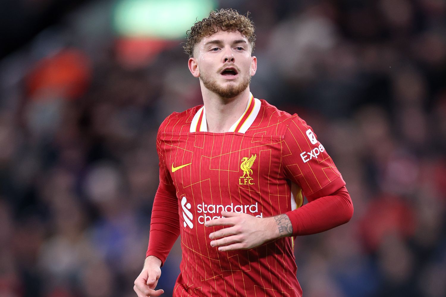 Harvey Elliott plays against Fulham for Liverpool