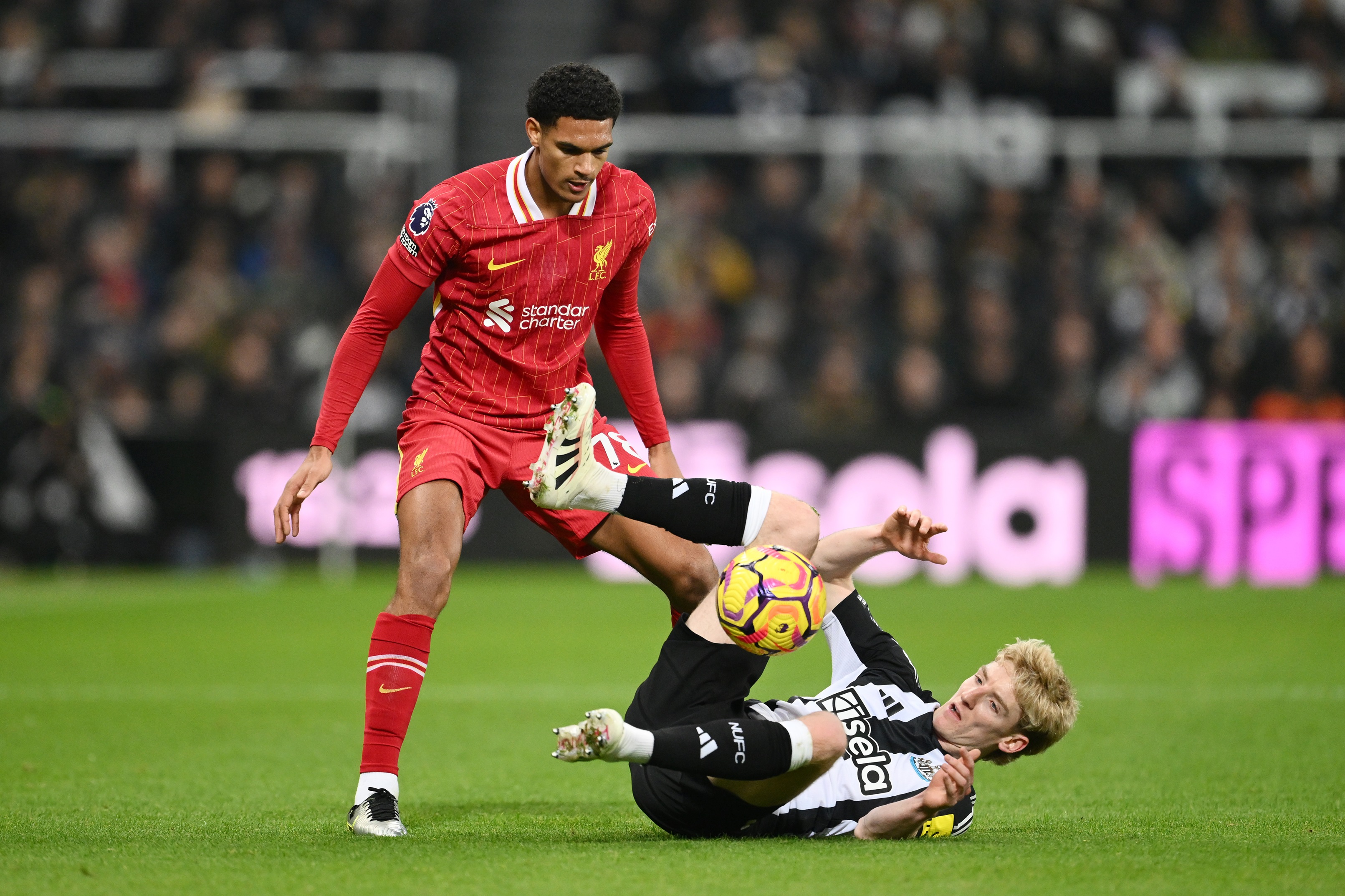 Anthony Gordon rolls on the floor during Newcastle v Liverpool.