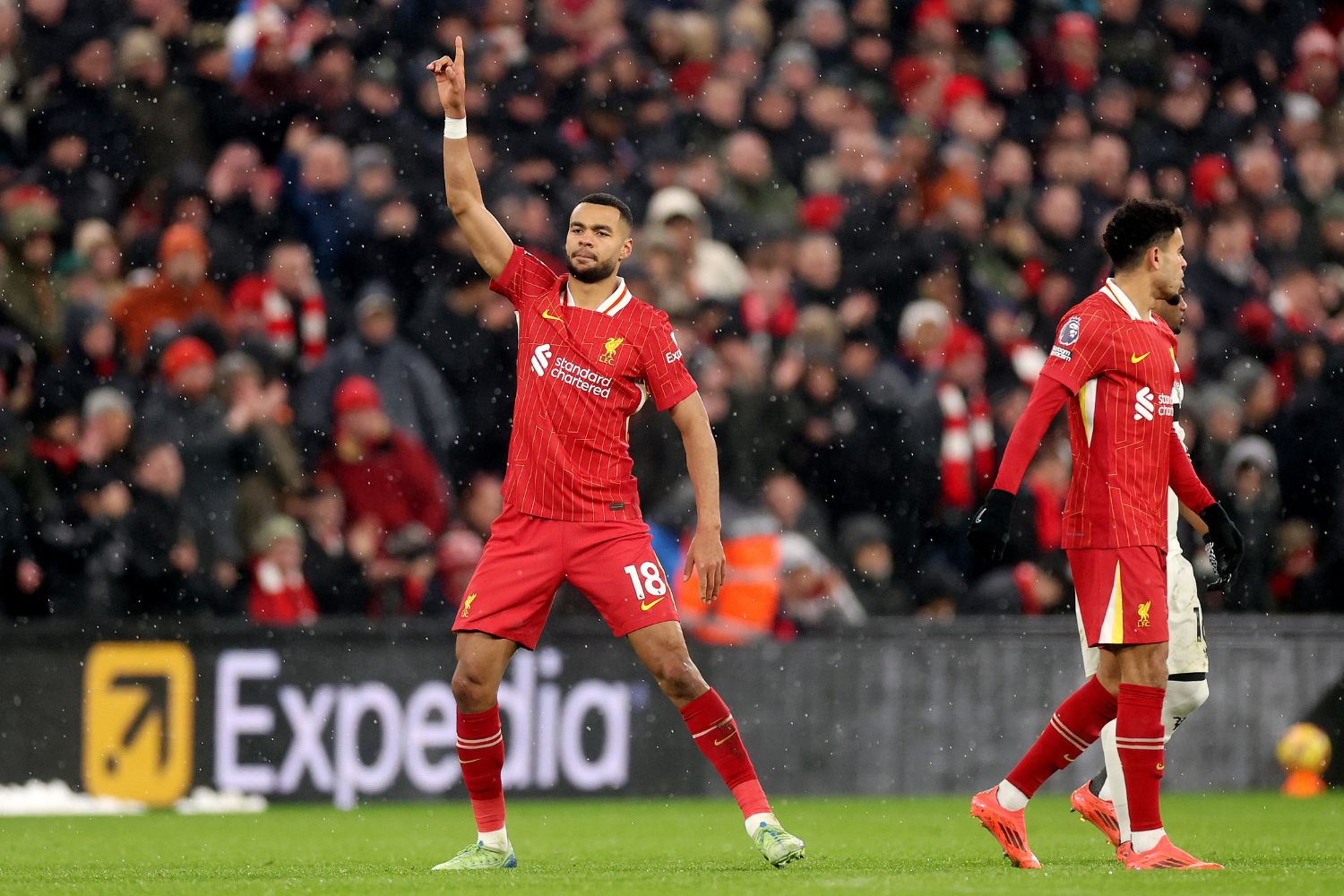 Cody Gakpo celebrates after scoring against Manchester United