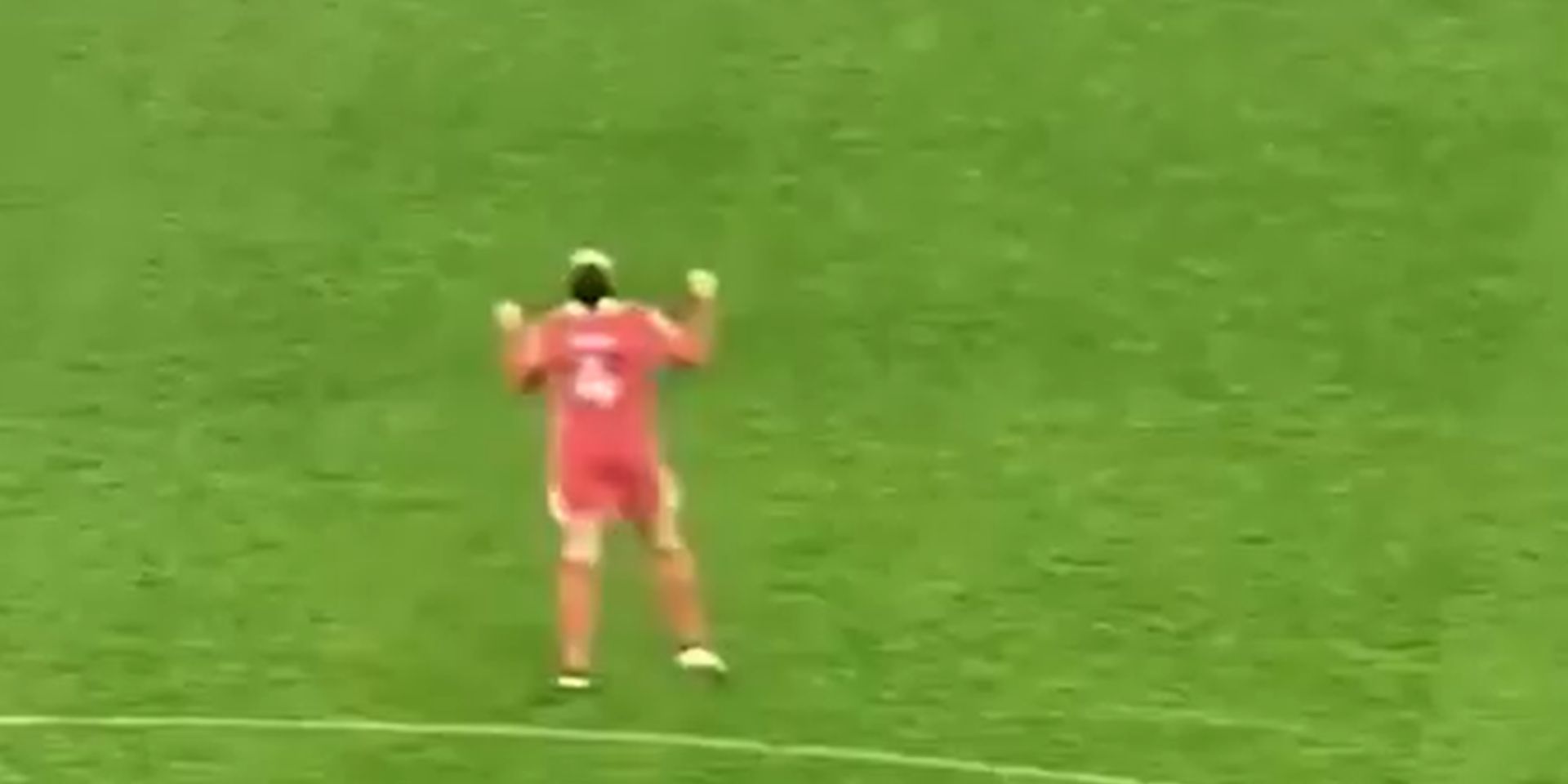 Van Dijk celebrates Mo Salah's penalty