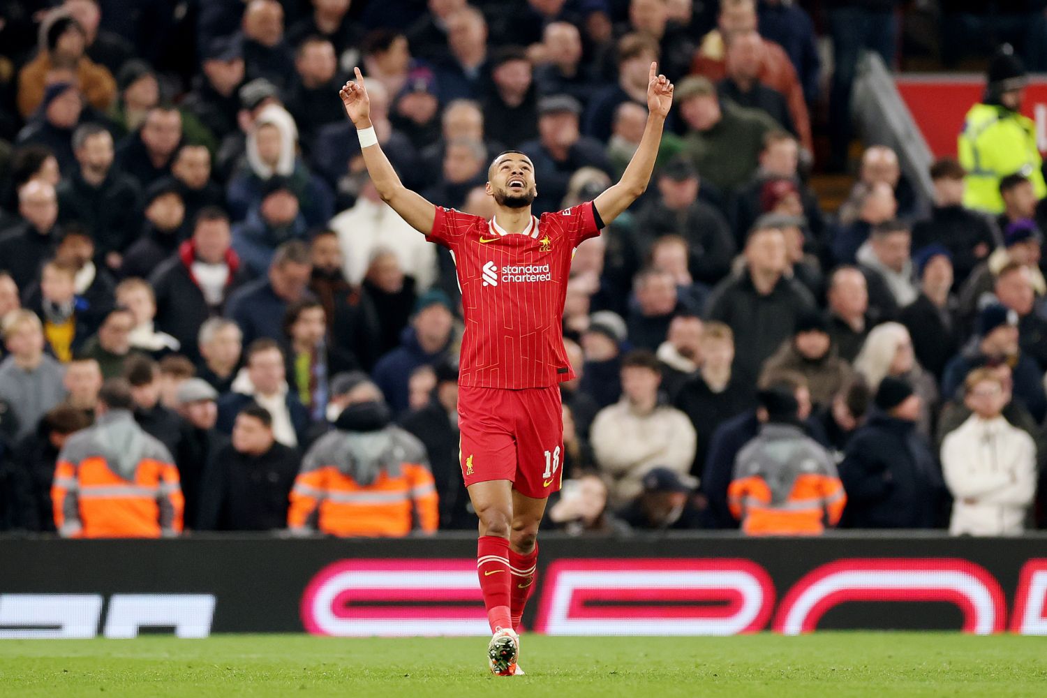 Cody Gakpo scores against Tottenham at Anfield