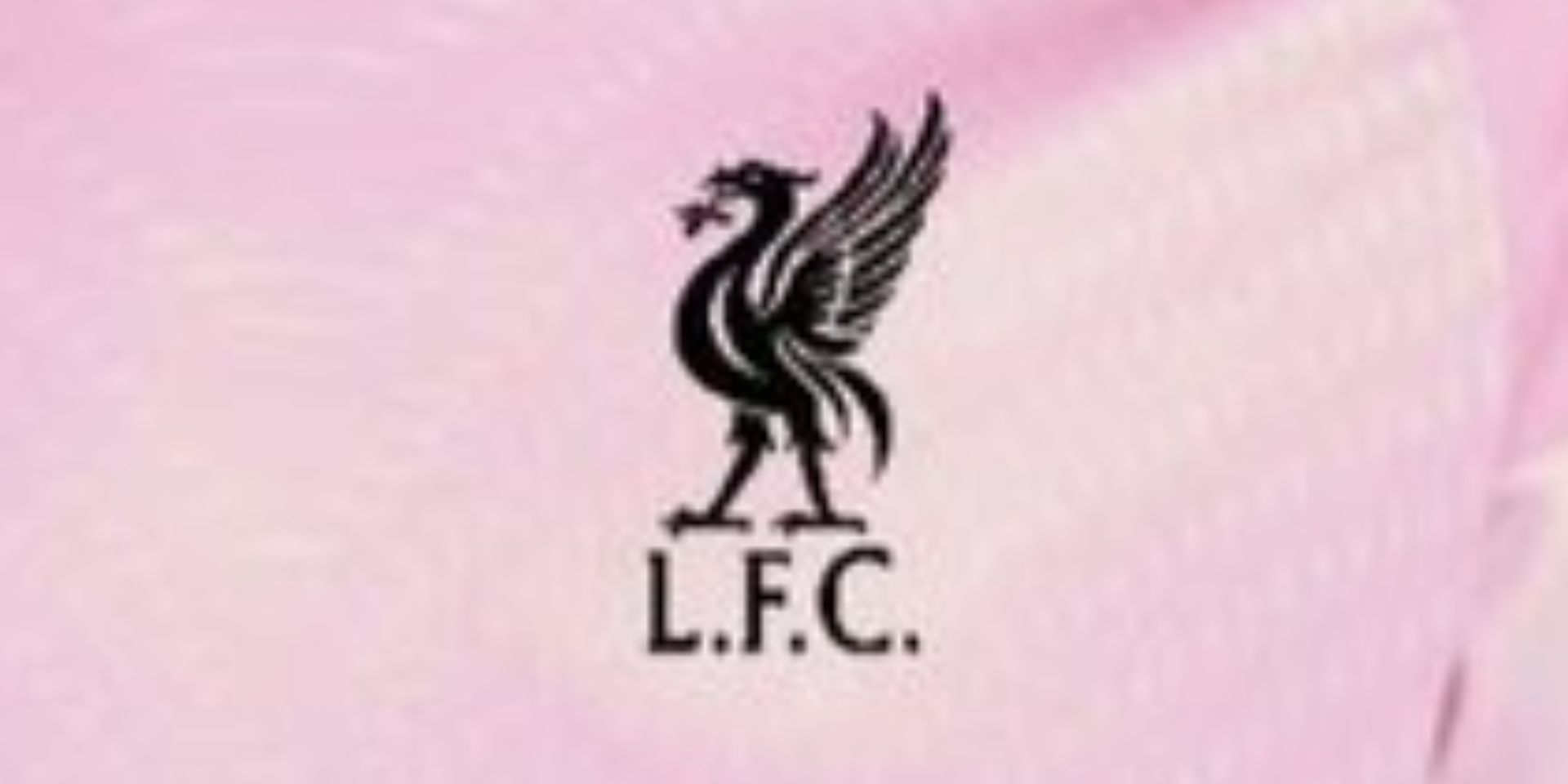 Liverpool's reported new goalkeeper kit