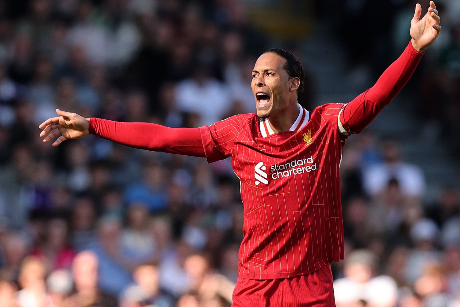 Virgil van Dijk against Fulham