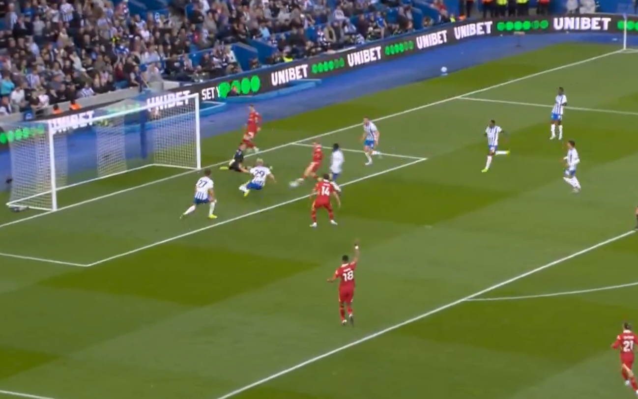 Harvey Elliott gave Liverpool an early lead against Brighton