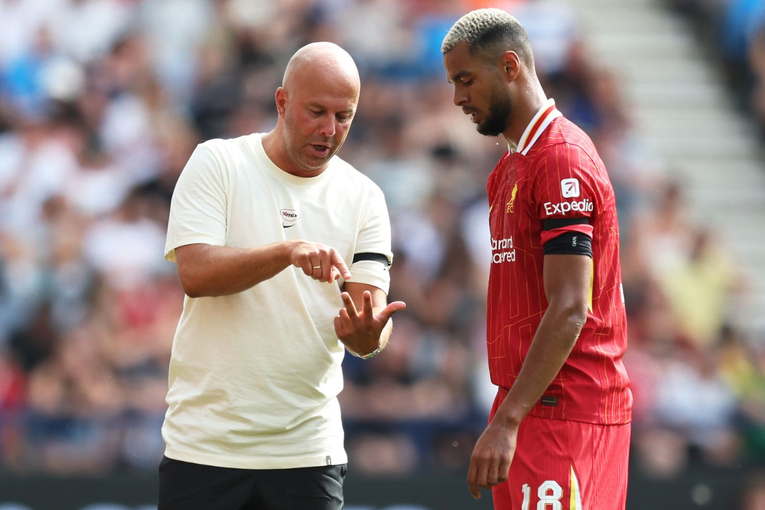 Arne Slot and Cody Gakpo during Liverpool vs Preston