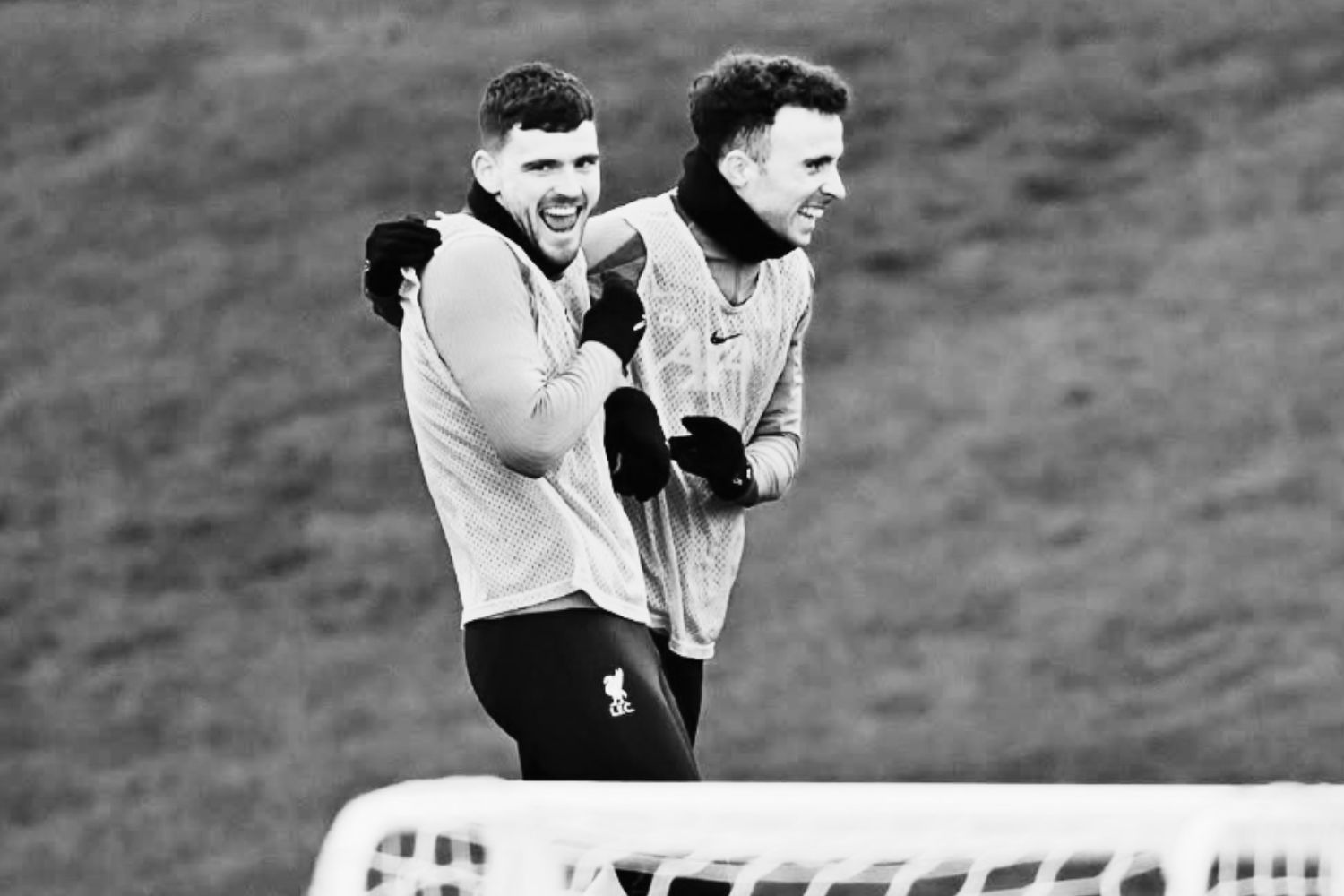 Diogo Jota and Andy Robertson