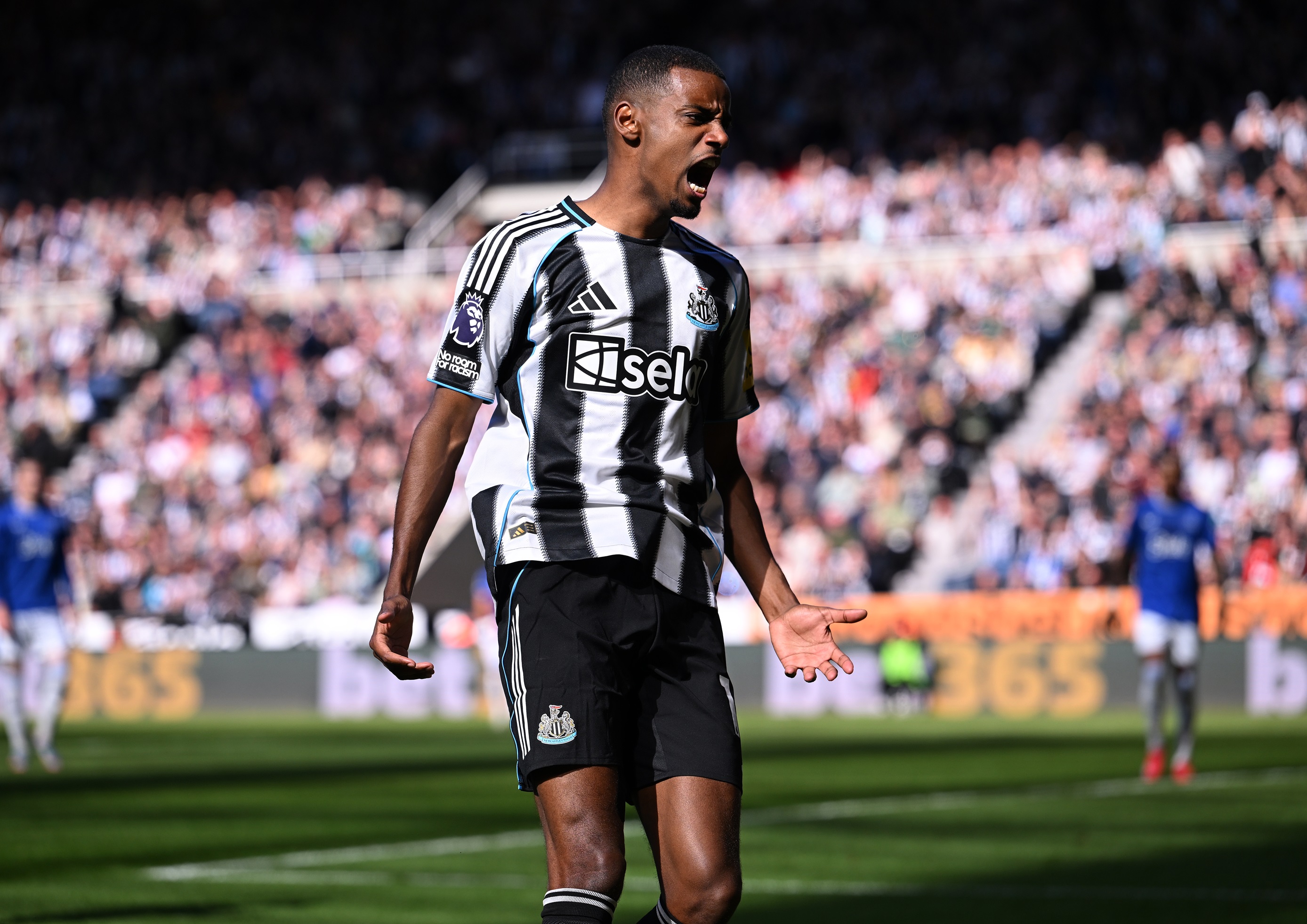 Alexander Isak screams in celebration in front of fans.