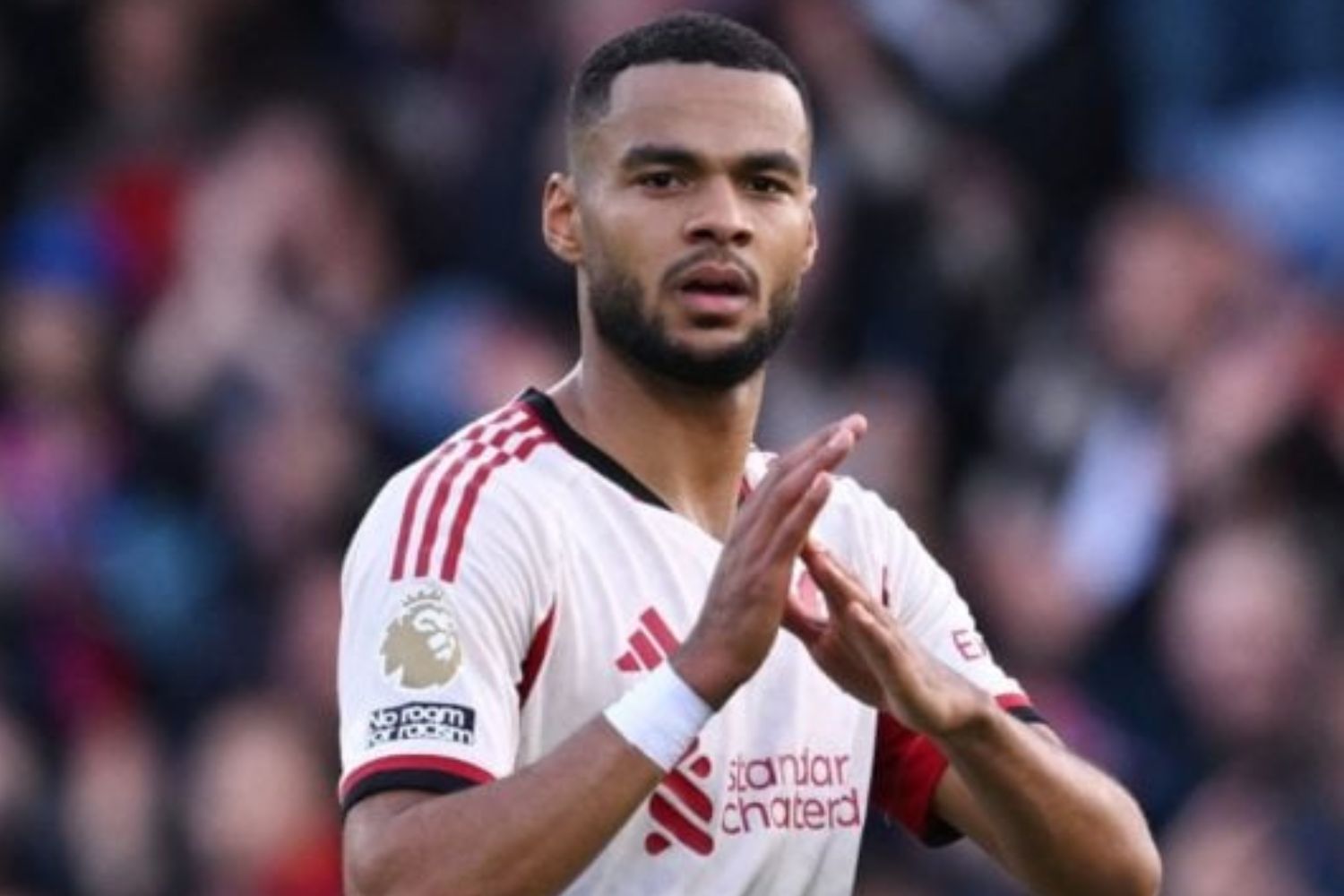 Cody Gakpo at Selhurst Park