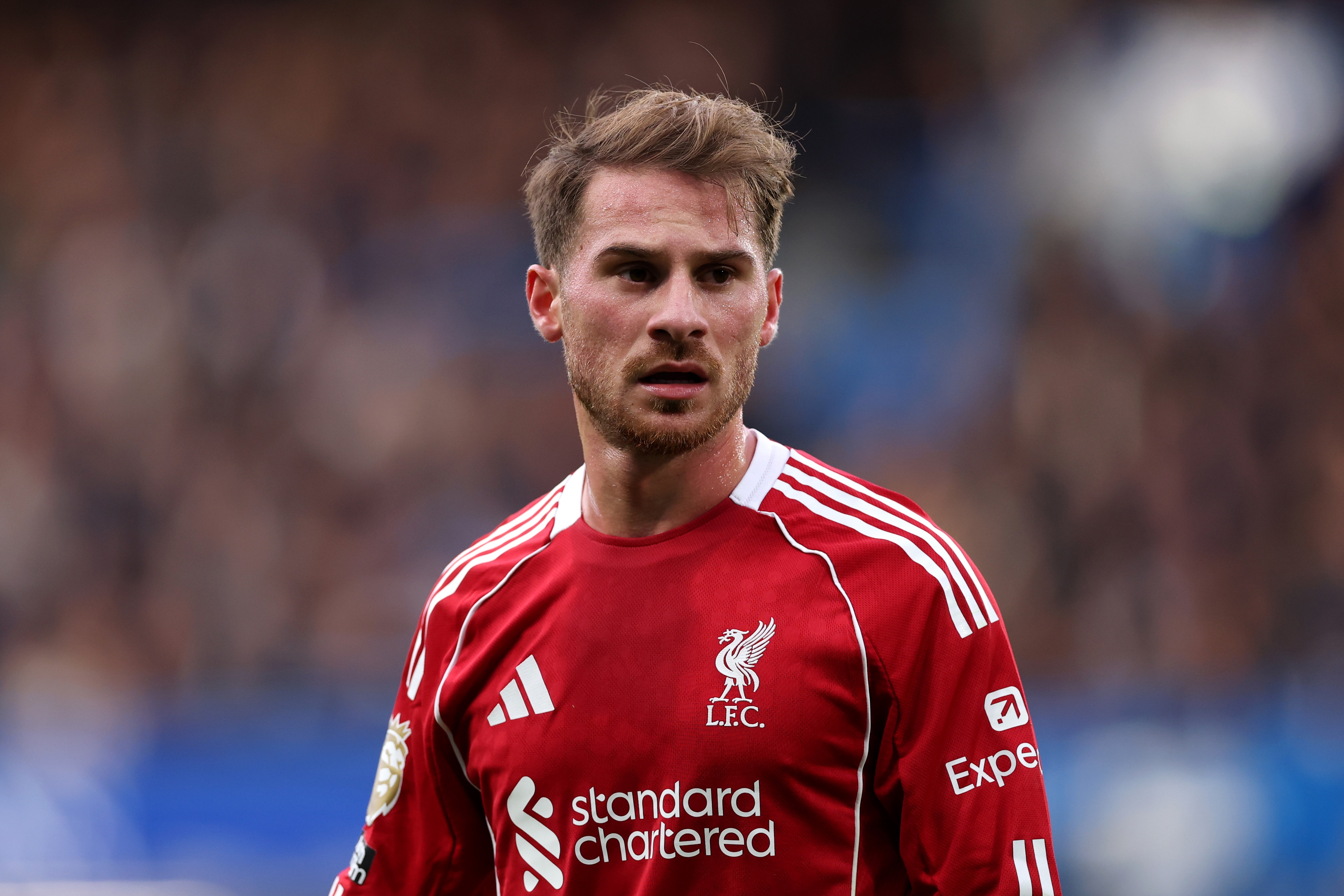 Alexis Mac Allister looks on during Liverpool game.