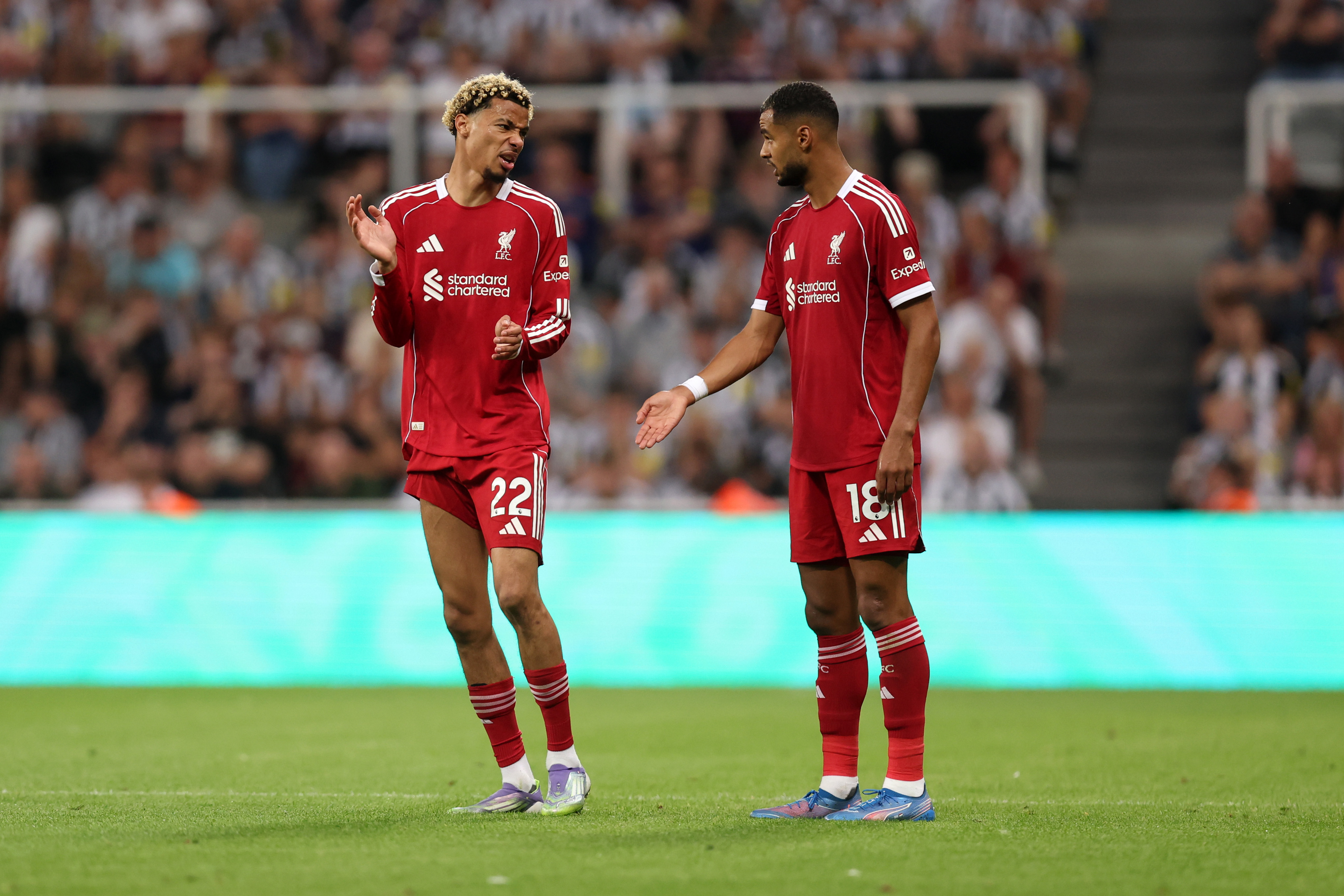 Hugo Ekitike and Cody Gakpo will hopefully contribute plenty of goals for Liverpool this season