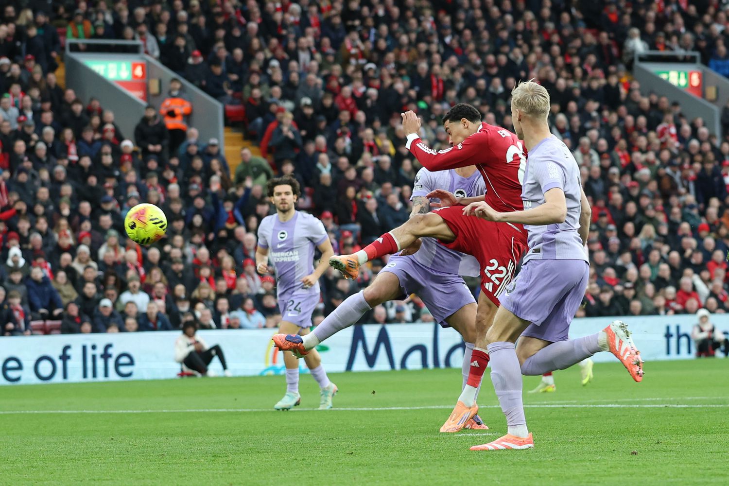 Hugo Ekitike scores against Brighton