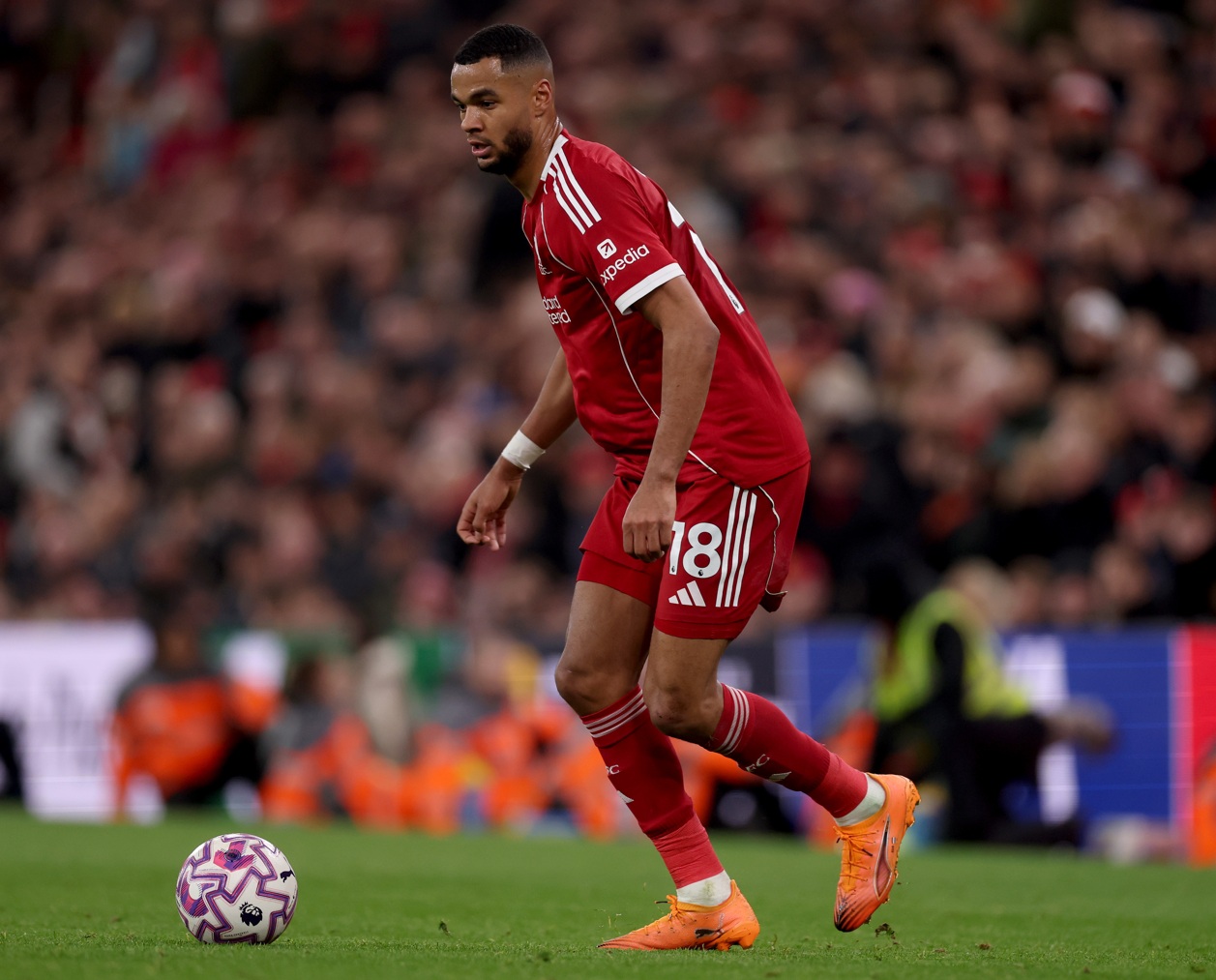 Cody Gakpo was substituted at half-time in Liverpool's draw against Sunderland