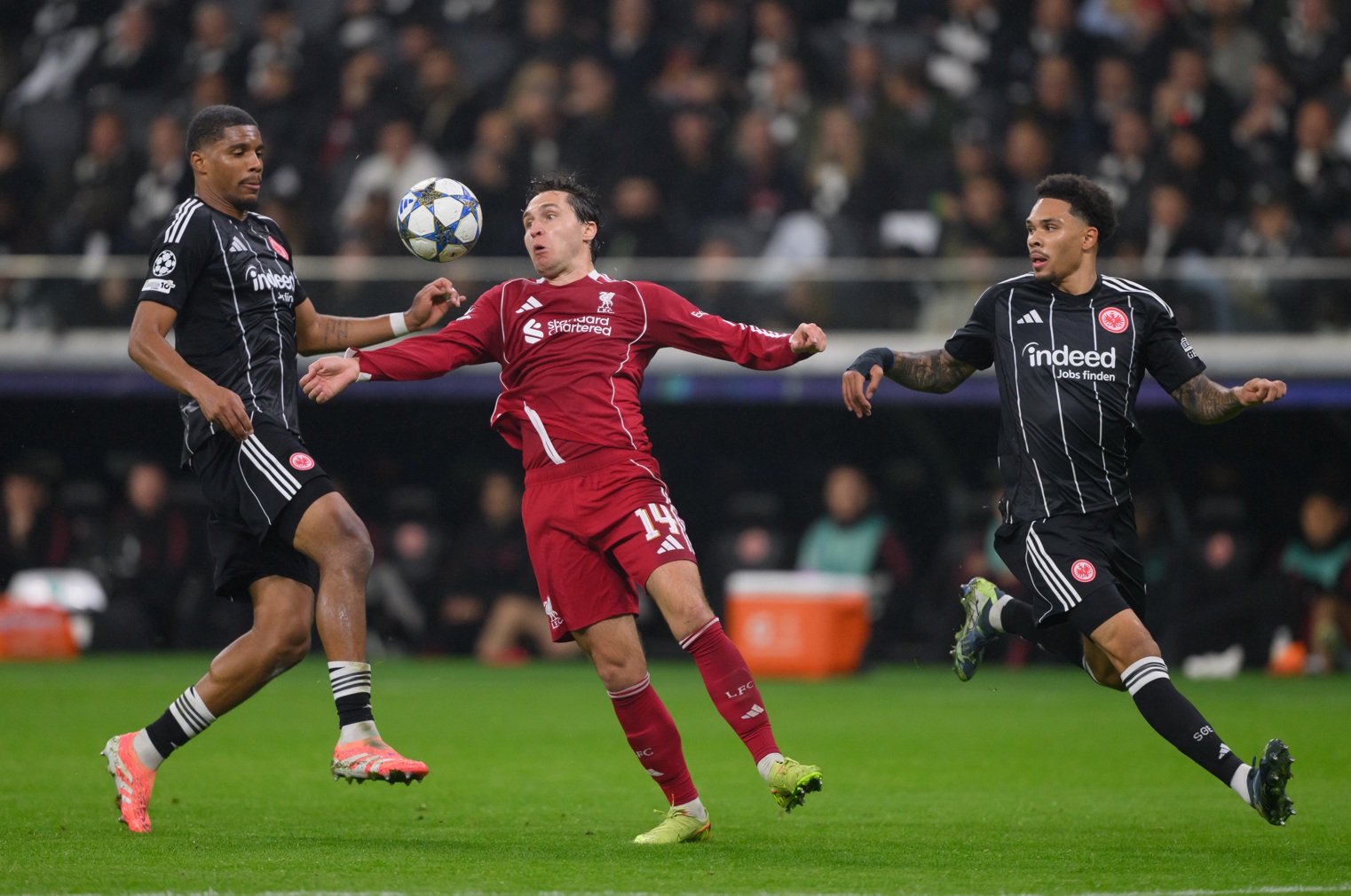 Federico Chiesa is likely to be available for Liverpool's fixture against Brighton on Saturday