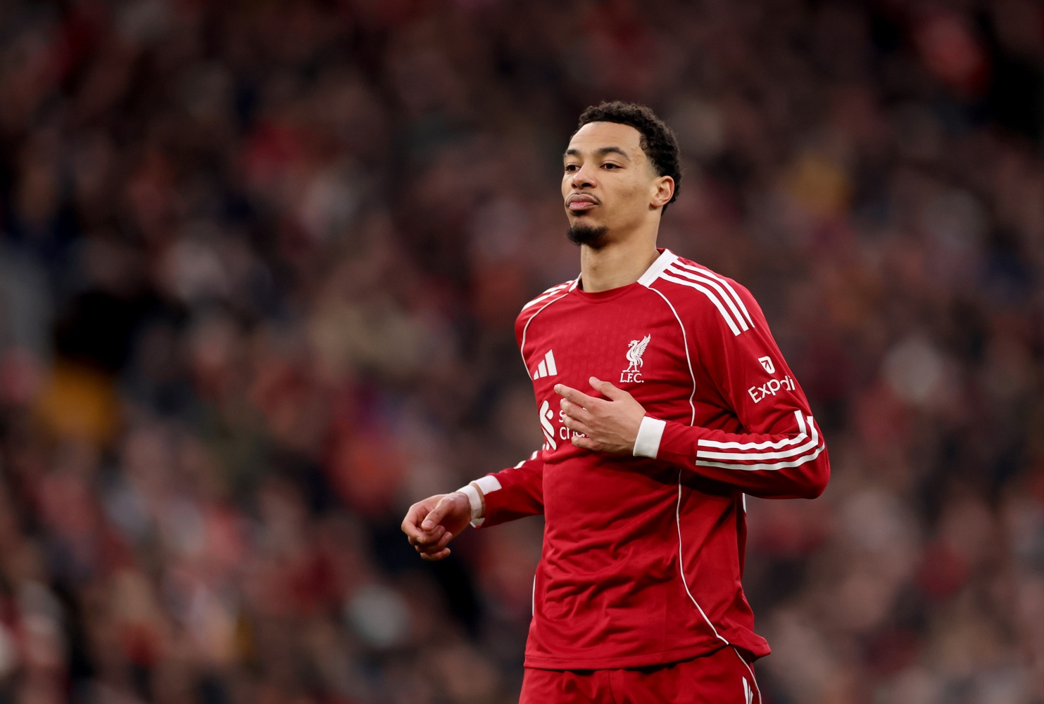 Hugo Ekitike is currently the only senior centre-forward available to Liverpool