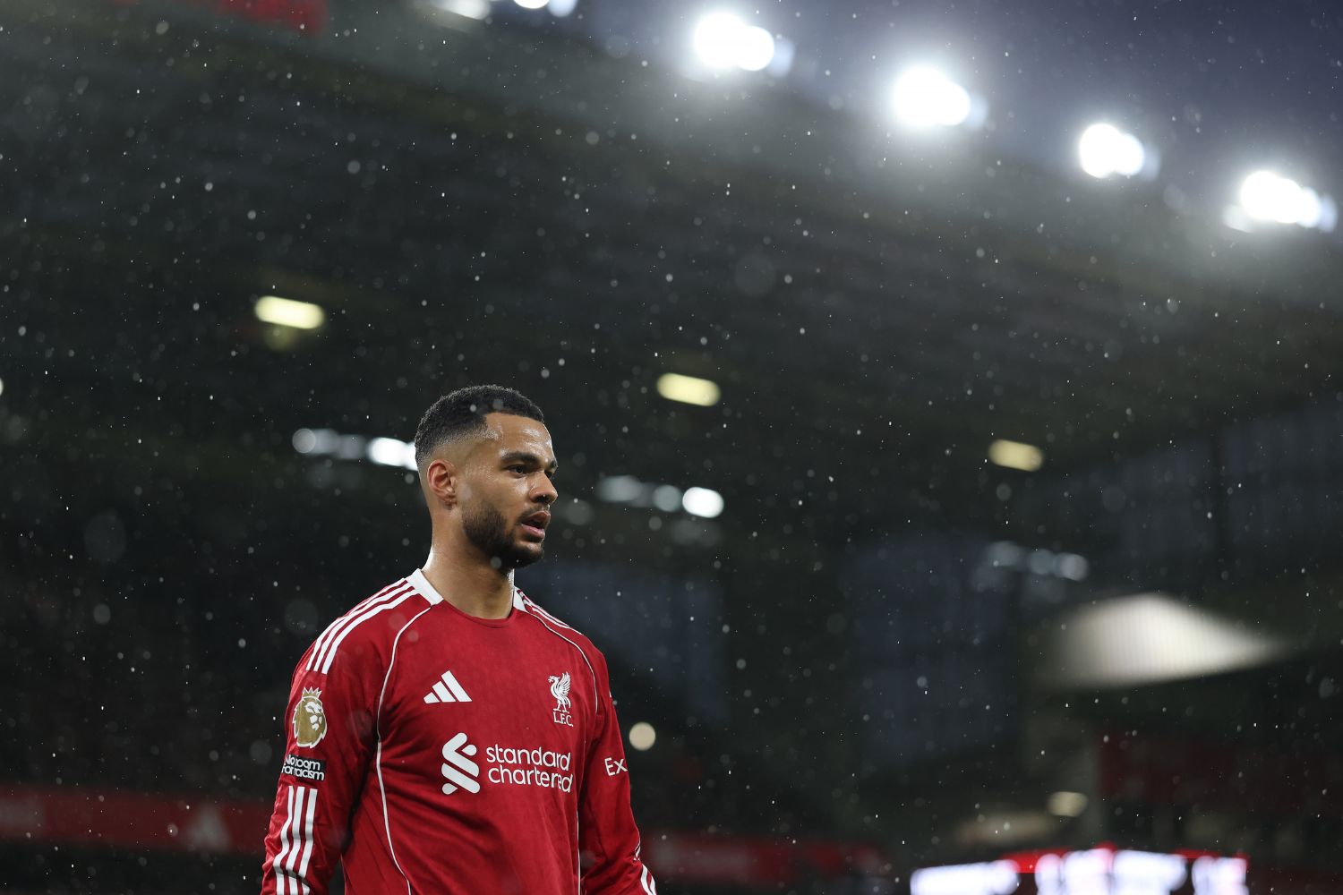Cody Gakpo of Liverpool at Anfield