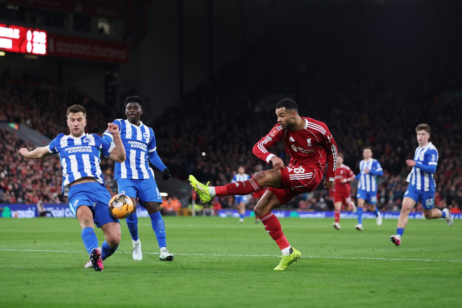 Cody Gakpo of Liverpool shoots which is blocked by Joel Veltman of Brighton