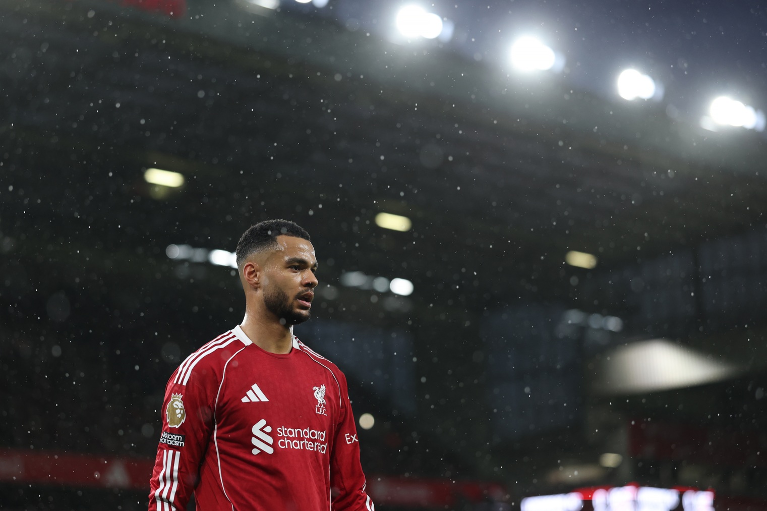 Cody Gakpo has been the target of some vitriolic abuse on social media