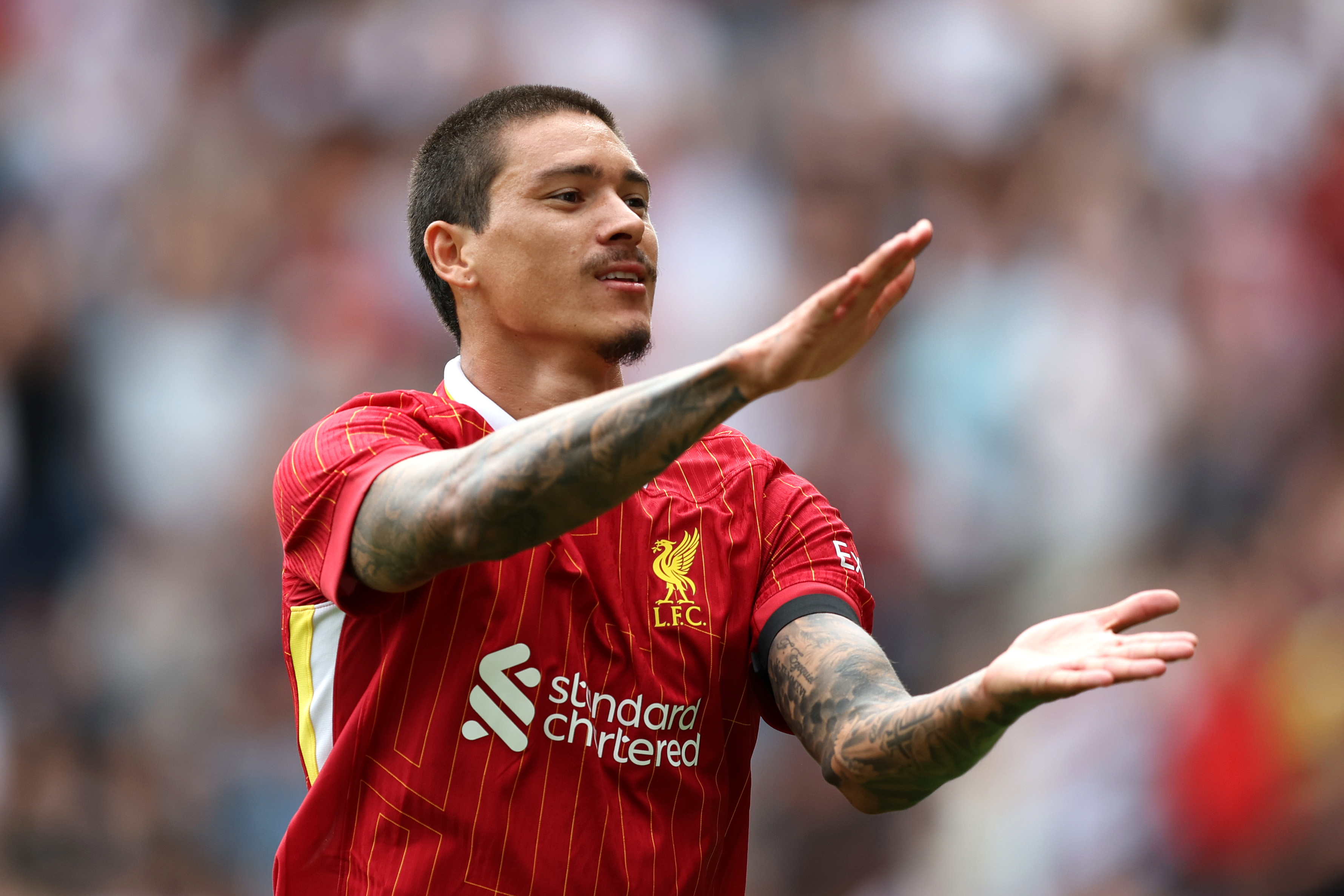 Darwin Nunez celebrates scoring for Liverpool