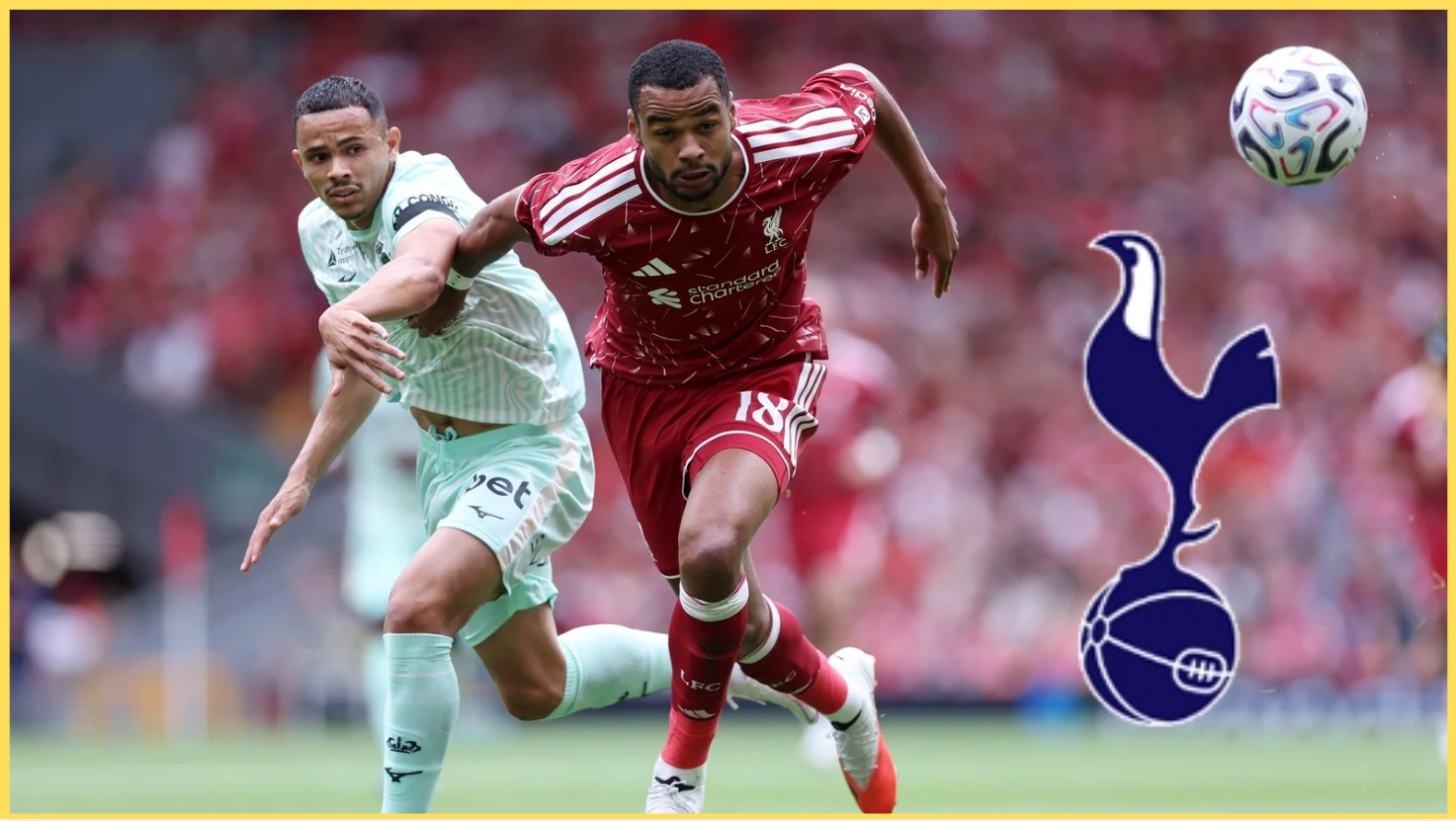 ‘Serious option’ – Sky reporter issues Gakpo to Spurs update as Liverpool forward ‘open’ to exit - The Empire of The Kop